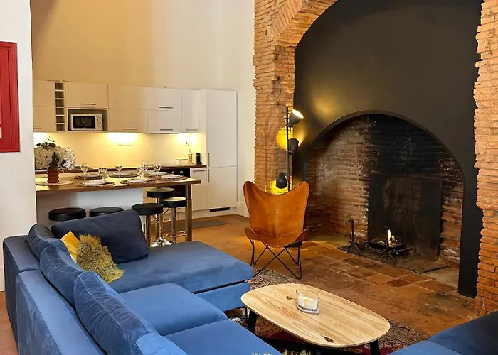 Le Repos De La Rue Des Changes Appartement Toulouse